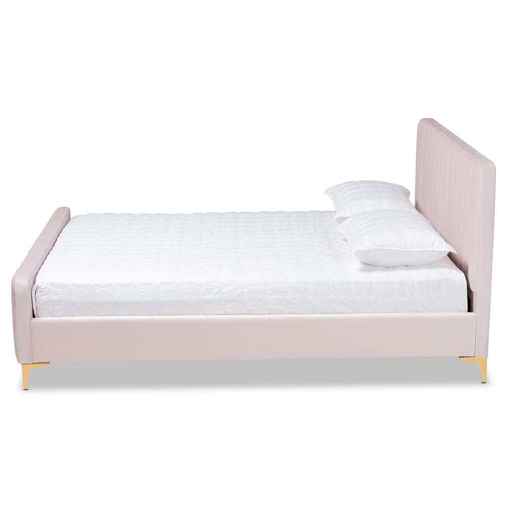 Baxton Studios Bed Baxton Studio Nami Modern Contemporary Glam and Luxe Light Pink Velvet Fabric Upholstered and Gold Finished King Size Platform Bed