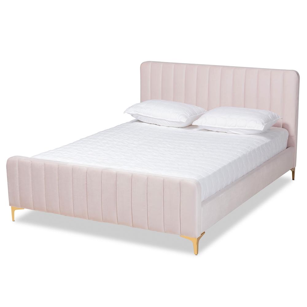 Baxton Studios Bed Baxton Studio Nami Modern Contemporary Glam and Luxe Light Pink Velvet Fabric Upholstered and Gold Finished King Size Platform Bed